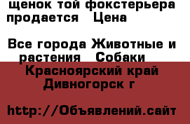 щенок той-фокстерьера продается › Цена ­ 25 000 - Все города Животные и растения » Собаки   . Красноярский край,Дивногорск г.